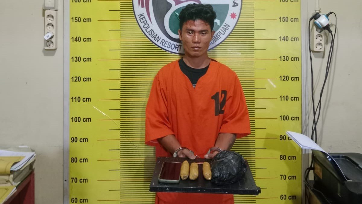 Polres Padangsidimpuan Tangkap Pengedar Ganja Usai Jawab Call Center 110