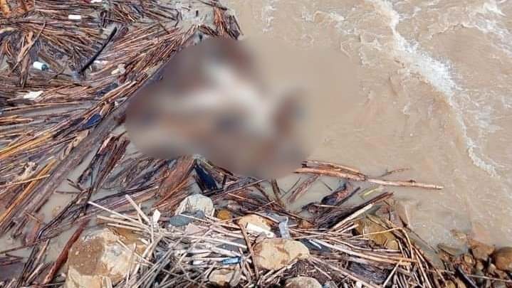 Sesosok Mayat Wanita Mrs X Terapung di Tepi Sungai Parsariran Batangtoru Tapsel