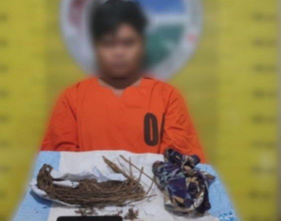 Kerap Didatangi Orang, Ternyata Pria Ini Pengedar Narkotika di Padangsidimpuan