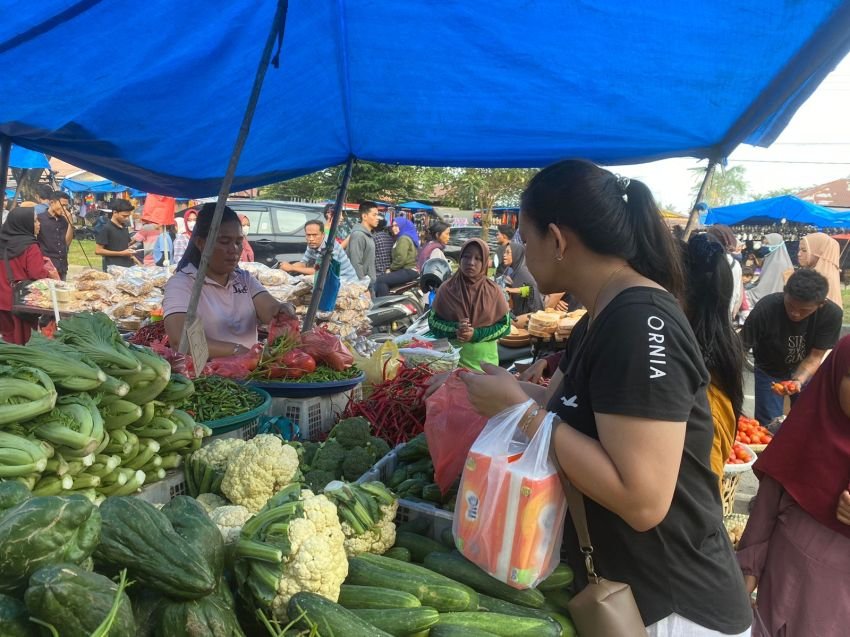 Laju Pertumbuhan Sumut Anjlok Jadi 2 Persen, Ini Kata Ekonom!