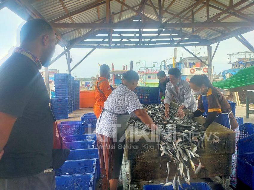 BKIPM Jaga Pintu Masuk Impor Ikan di Pebuhan Belawan