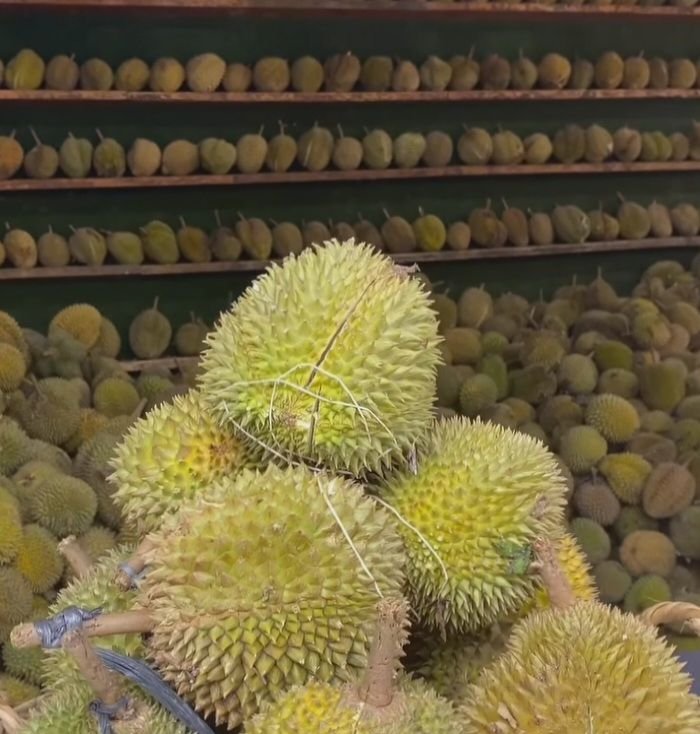 Bagi Pelancong Nataru, Belum ke Medan kalau Belum Makan Durian, Ini Tempatnya