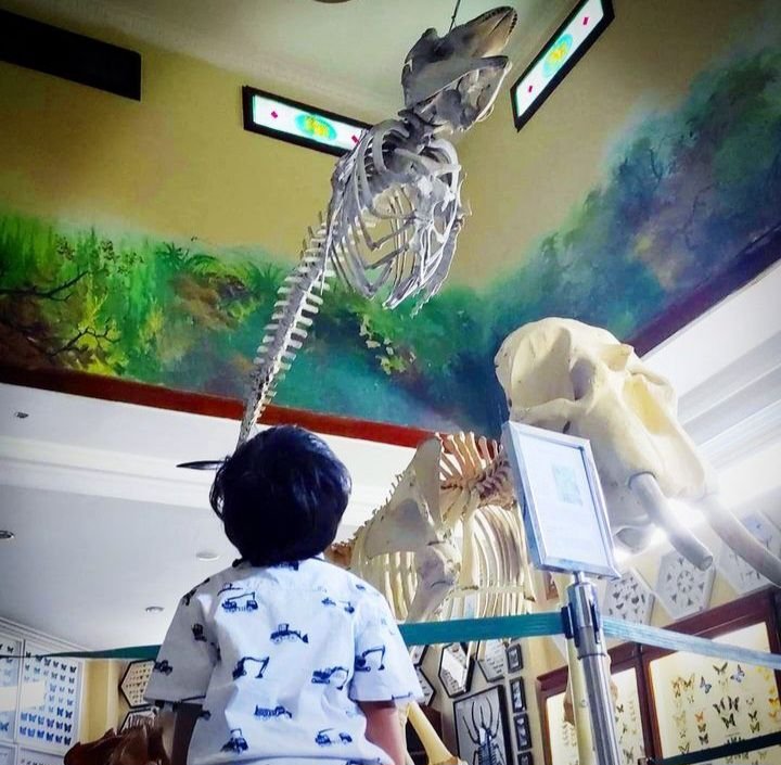 Isi Libur Nataru dengan Belajar di Rahmat International Wildlife Museum and Galery Medan