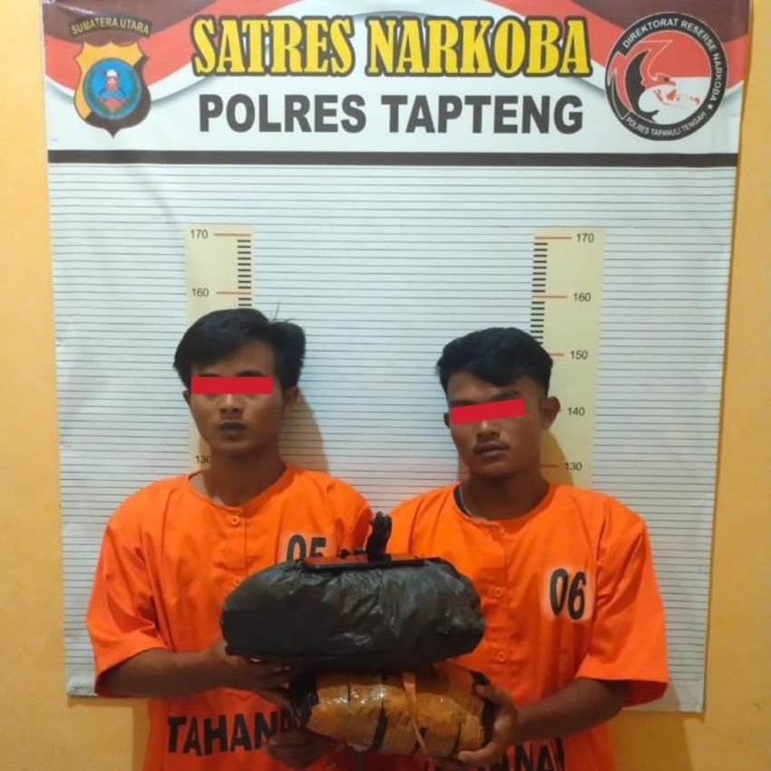 Dua Warga Tapsel Pemilik Ganja 1.7 Kilogram Diringkus Polisi di Tapteng