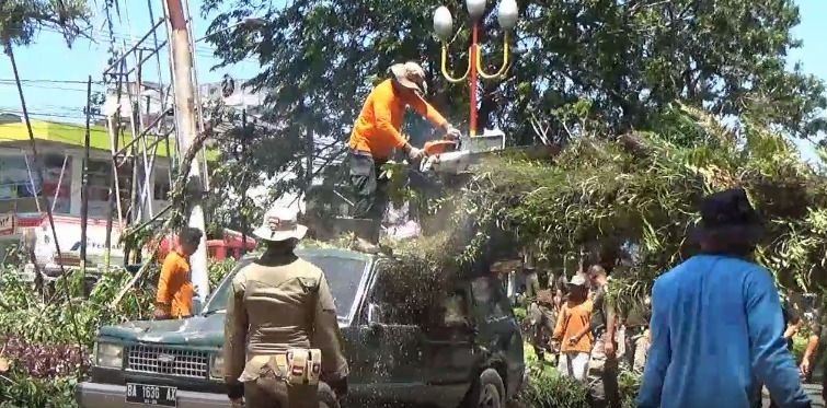 Angin Kencang, Dua Minibus Tertimpa Pohon Tumbang di Padang