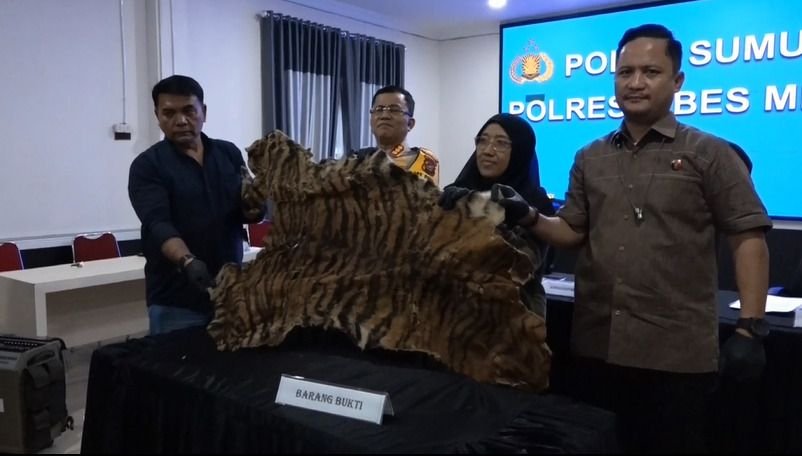 Polrestabes Medan OTT Pelaku Jual Beli Kulit Harimau Sumatera