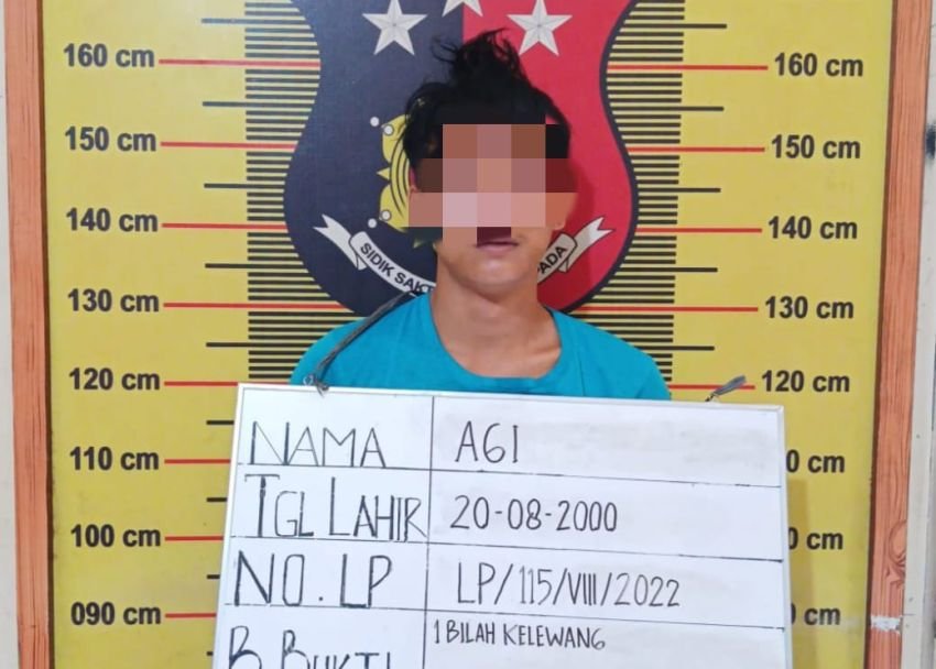 Petugas Tangkap Pelaku Pembacokan Personel Polisi di Belawan Tahun 2022