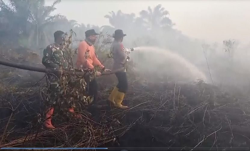 Lahan Gambut 50 Hektare di Pelalawan Riau Kembali Terbakar