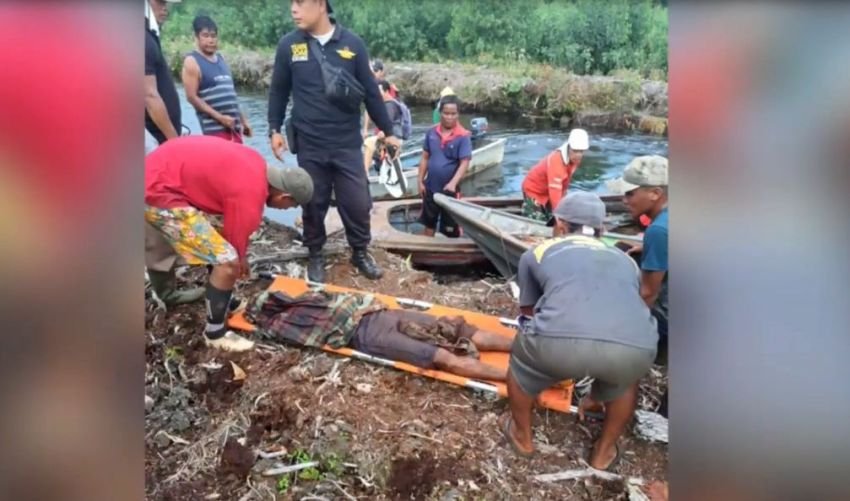 Pekerja Perkebunan Tewas Diterkam Harimau Sumatera di Riau