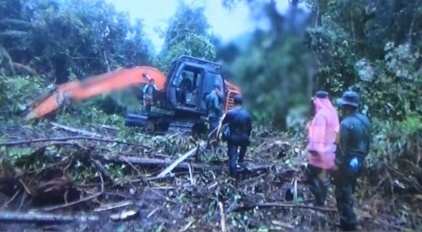 Ribuan Hektar HPK Dibabat, Dua Orang Terduga Pelaku Diamankan