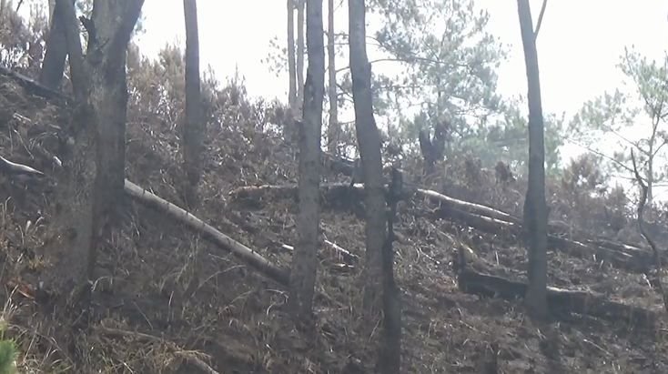 Api Kebakaran Hutan dan Lahan di Perbukitan Danau Toba Padam