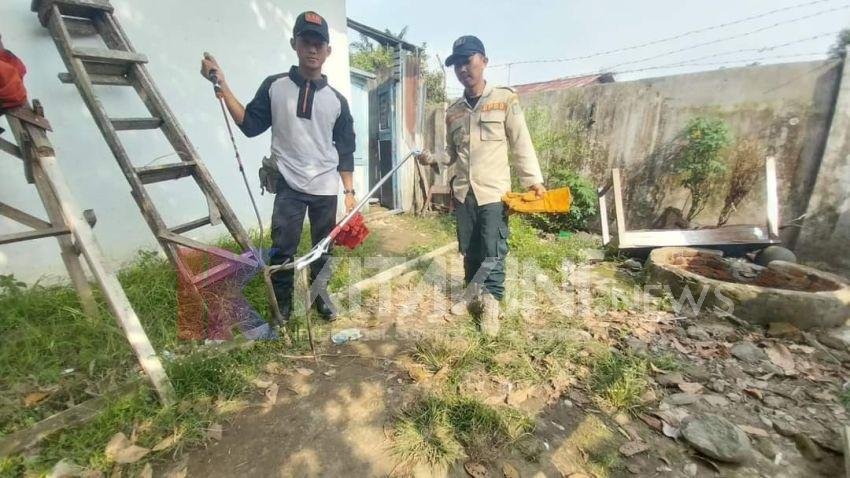 Ular Kobra Sepanjang 40 Centimeter Hebohkan SMPN 6 Binjai