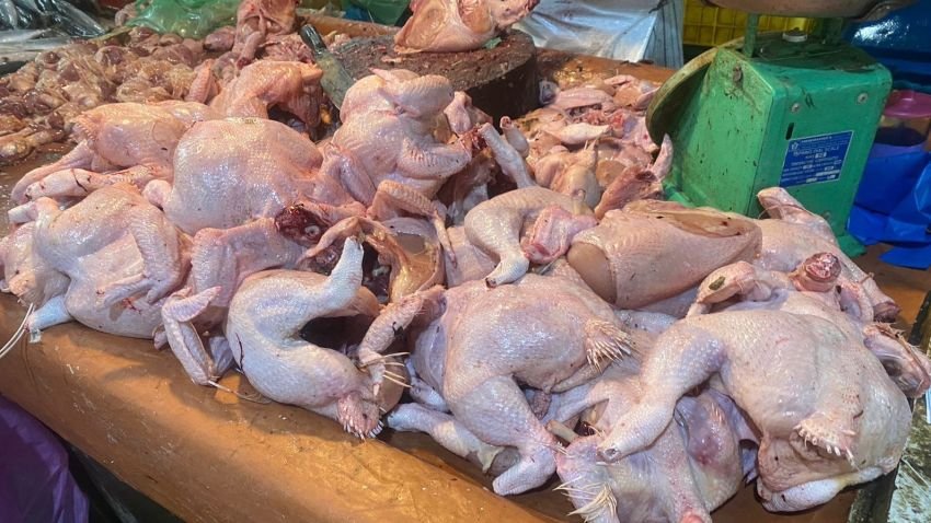 Harga Daging Ayam Berpeluang Turun Lagi