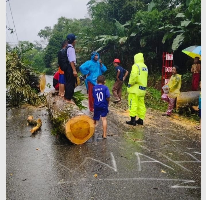 Satlantas Batang Toru Dibantu Warga Evakuasi Pohon Tumbang