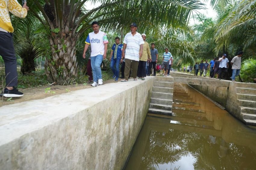 Begini Harapan Transformasi Pemprov Sumut di Tangan Bobby Nasution