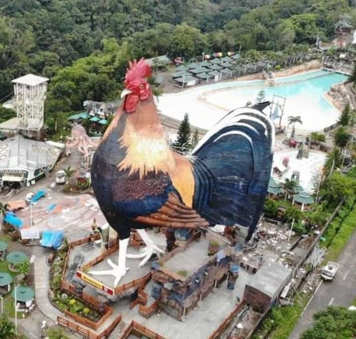 Keunikan Hotel Ayam Raksasa di Filipina, Bangunan Ikonik yang Pecahkan Rekor Dunia