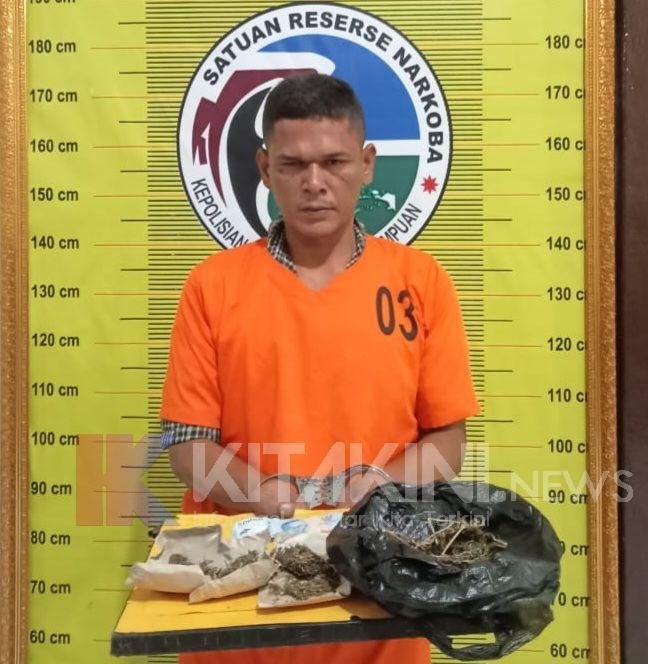 Polisi Tangkap Pria Diduga Pengedar Ganja di Lingkungan Pendidikan