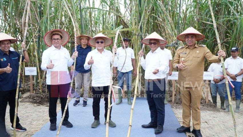 Menko Pangan Zulhas dan Mendag Budi Santoso Tinjau Kebun Tebu Langkat