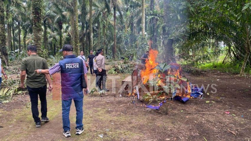 Lagi, Polres Binjai Bakar Lapak Narkoba di Seibingai Langkat