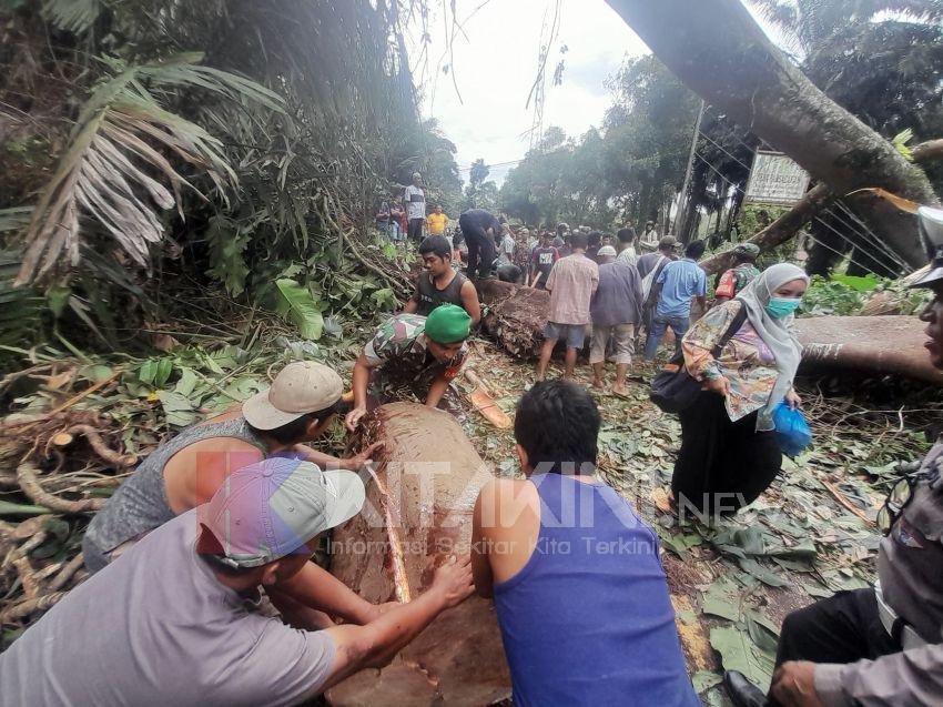 Kodim 0212/Tapsel dan Warga Evakuasi Pohon Tumbang Menutupi Akses Jalan