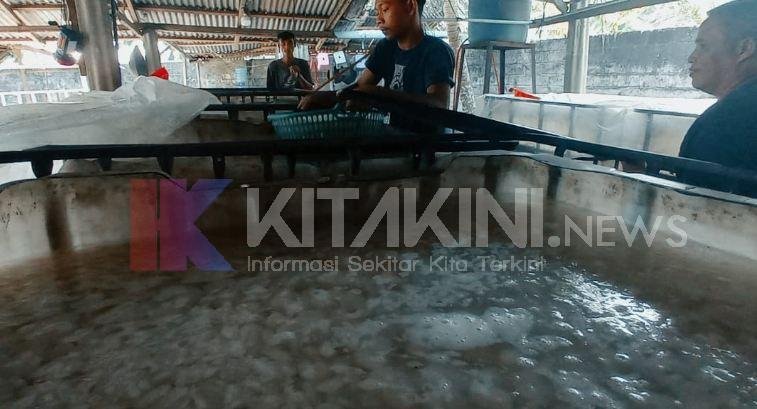 Permintaan Kolang Kaling di Ramadan, Pengusaha: Kita Bisa Mengolahnya 1,5 Ton Sehari