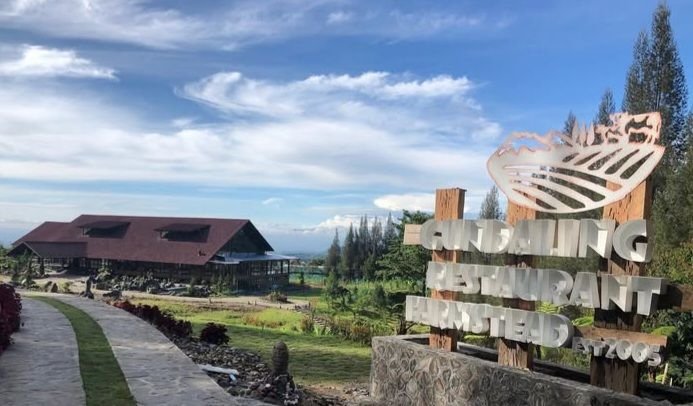 Menikmati Susu Asli, Langsung dari Gundaling Farmstead
