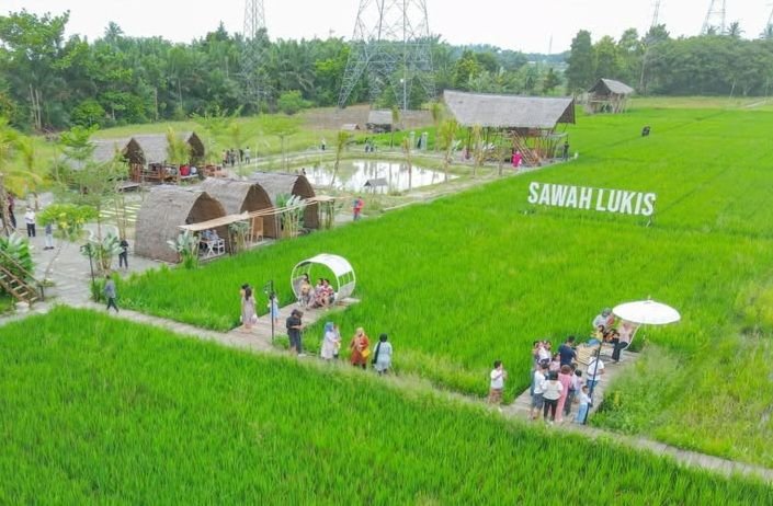 Binjai Menuju Kota Singgah, Sawah Lukis Pilihannya