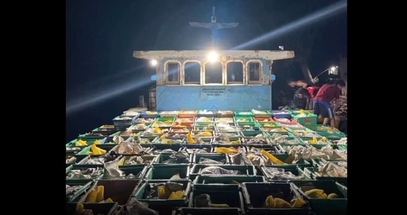 Bea Cukai Tembilahan Gagalkan Penyelundupan 15 Ton Mangga Ilegal