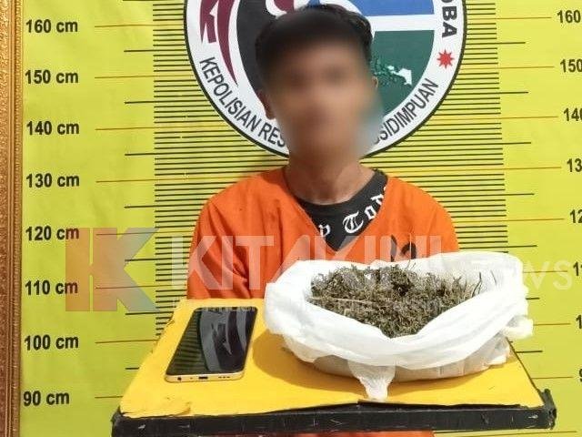 Tenteng 100 Gram Ganja, Pria Asal Kelurahan Tobat Padangsiidmpuan Diangkut Polisi