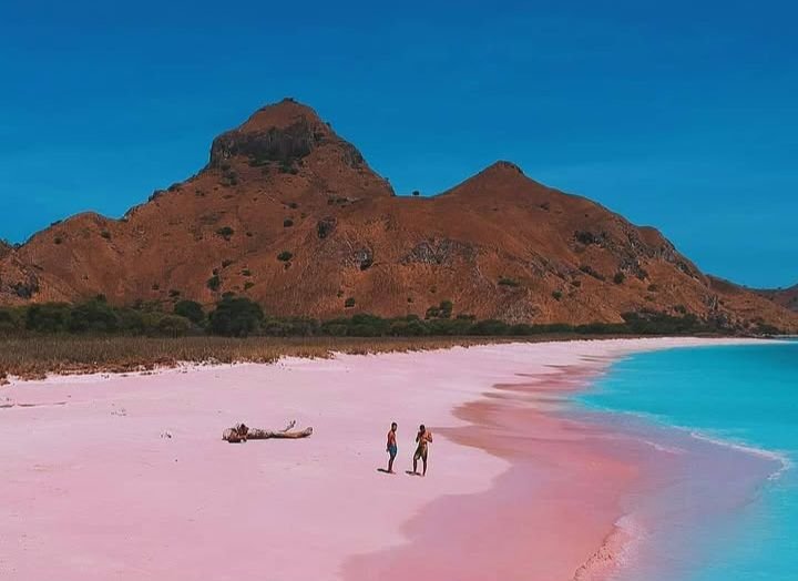 Pantai Pink di NTT Sedot Perhatian Dunia