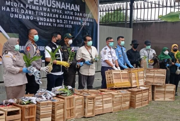 Ratusan Satwa dan Tumbuhan Ilegal Dimusnahkan di Sumut, Ancam Ketahanan Hayati Nasional