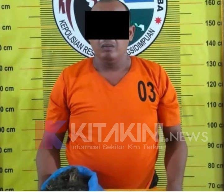 Parbetor Ucok Botol Gondol Ganja dari Madina ke Padangsidimpuan
