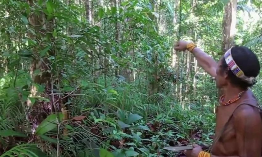 Masyarakat Tolak Izin PT SPS Eksploitasi 20.706 Hektar Hutan Mentawai