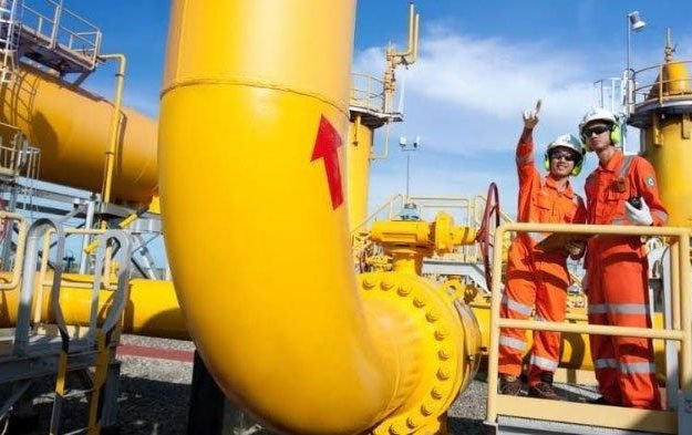 Kurangi Emisi Karbon, Langkah PGN Melalui Proyek Injeksi Biomethane