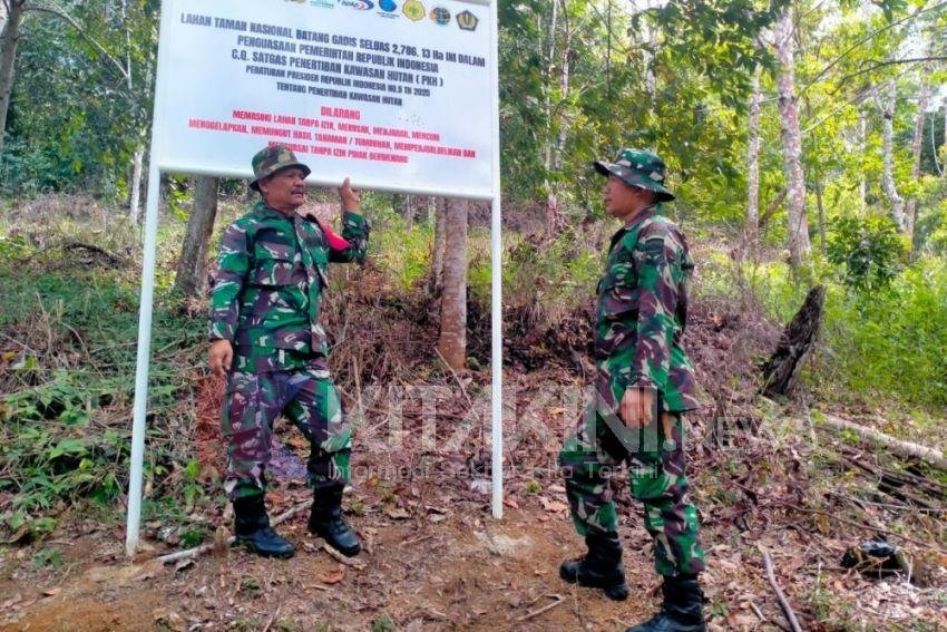Satgas PKH Kembali Patroli dan Sosialisasi Penertiban Kawasan Hutan di TNBG Madina