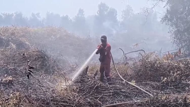 Lahan Gambut Seluas 20 Hektare di Kampar Riau Terbakar