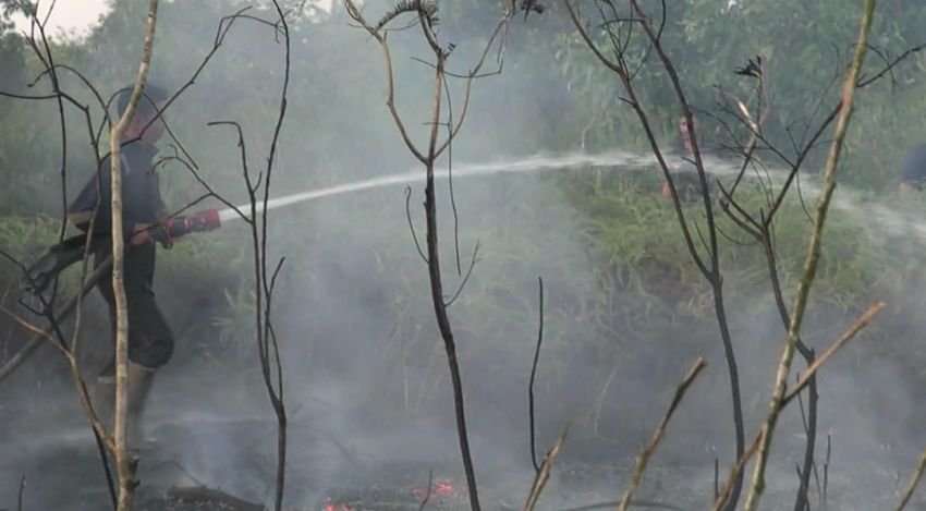 Karhutla Meluas di Riau, Petugas Kesulitan Dapatkan Sumber Air