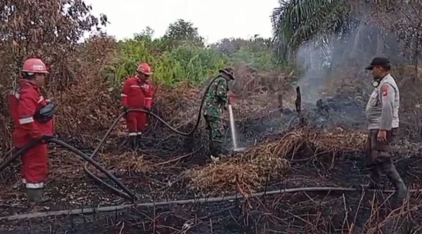 Lahan Gambut di Kampar Riau Terbakar, Pemadaman Terkendala Kesulitan Air