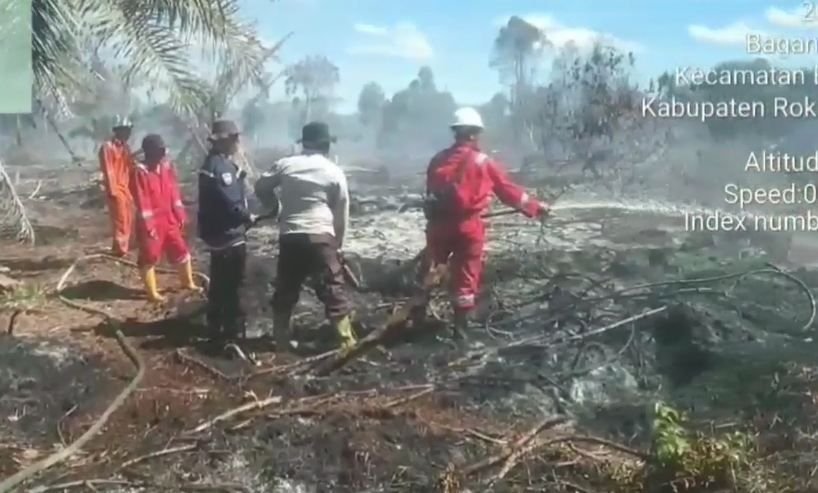 Polisi Tangkap Seorang Terduga Pelaku Pembakar Lahan di Riau