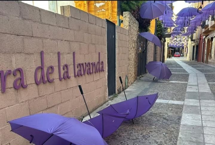 Walikota di Spanyol Stres, Terlalu Banyak Turis di Ladang Lavender