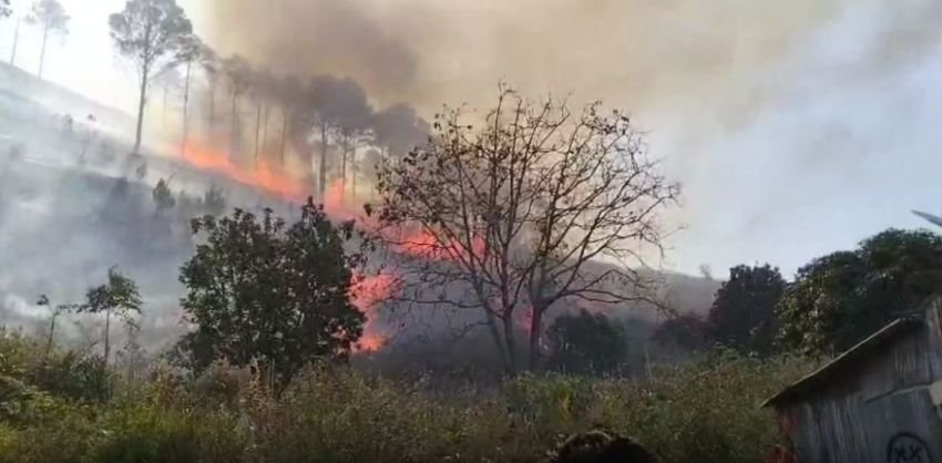 Perbukitan Danau Toba, Desa Paropo, Dairi Terbakar