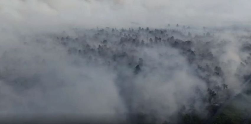 Kapolri Pantau Karhutla di Riau, 46 Pembakar Lahan Ditangkap