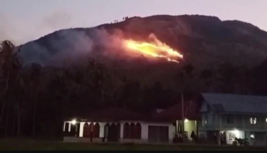 Dua Kabupaten di Sumbar Tanggap Darurat Karhutla