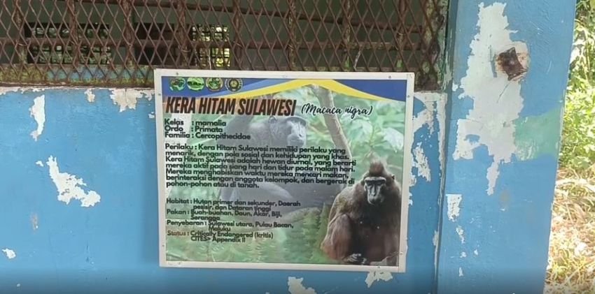 Kondisi Medan Zoo yang Memprihatinkan, Rico Waas : Butuh Perhatian Khusus
