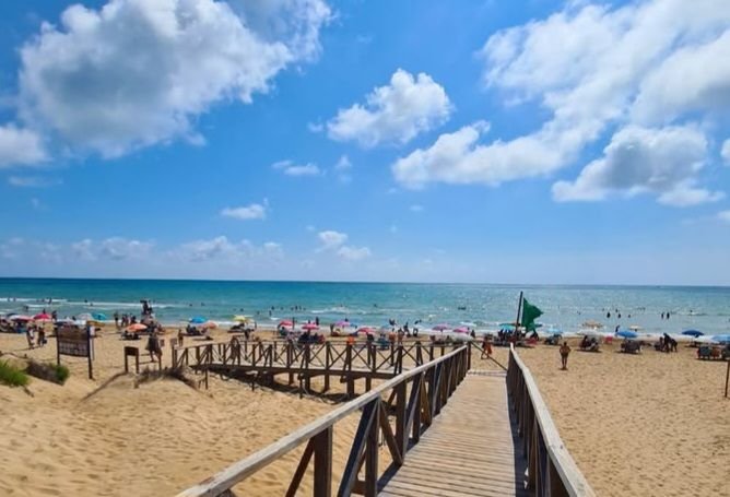 Awas, Ada Siput Berbisa Berjuluk Naga Biru di Pantai Wisata di Spanyol