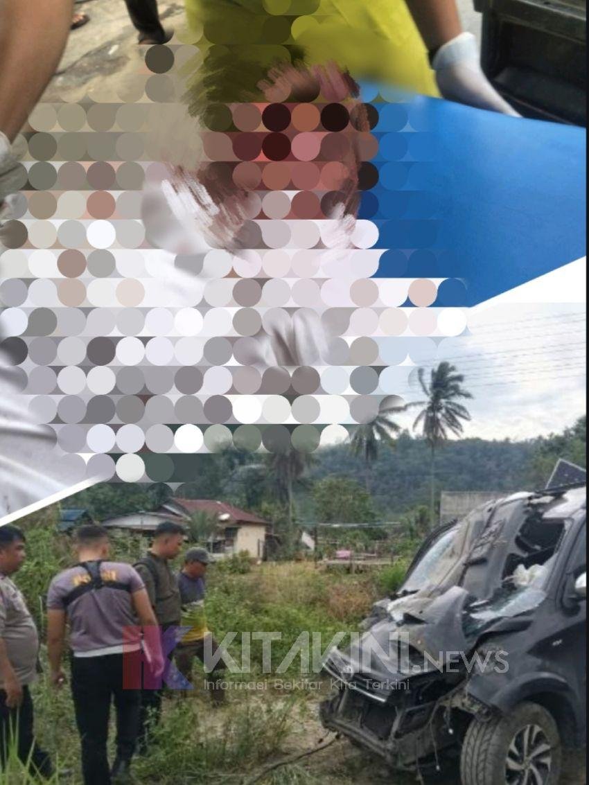 Niat Elakkan Lubang, Minibus Hantam Pohon