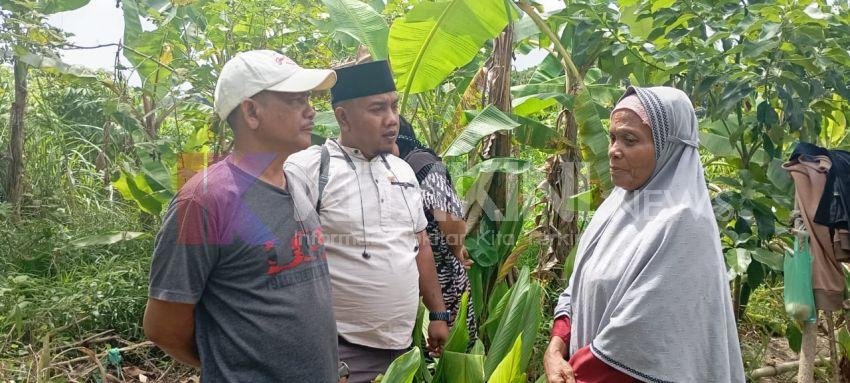 Pergi ke Kebun, Pria Lansia di Sihitang Padangsidimpuan Tak Pulang 4 Hari