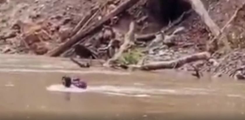 Seorang Bidan Desa di Pasaman Rela Bertaruh Nyawa Menyeberang Sungai Demi Pasien