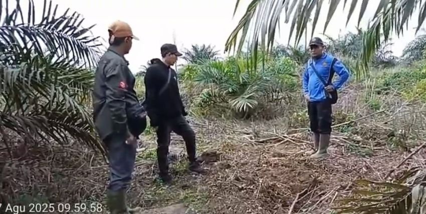 Konflik Manusia dan Gajah, Warga di Bengkalis Tewas Diserang