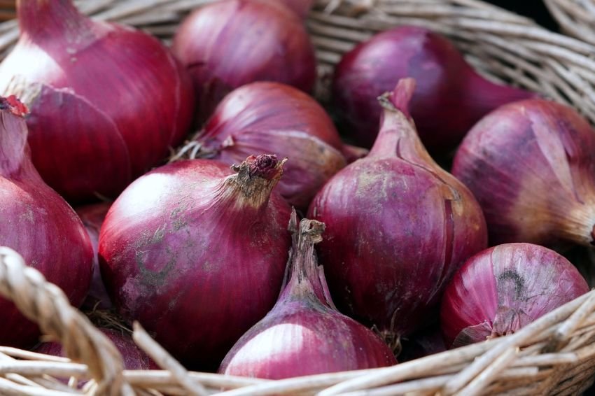 Kenaikan Harga Bawang Merah di Sumut Picu Inflasi